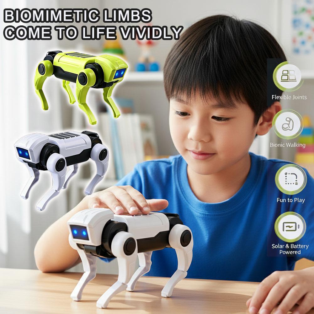 DIY Assembly RC Robot Dog Toy  - Science Toys Diy 评论和价格