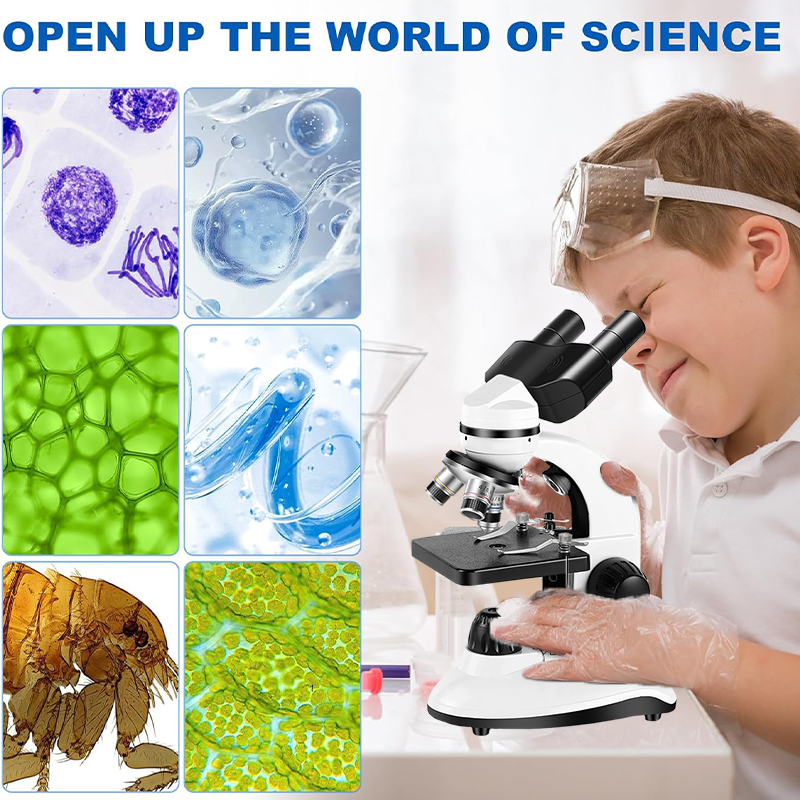 40X-1280X Compound Binocular M - Microscope Compound 40X 评论和价格