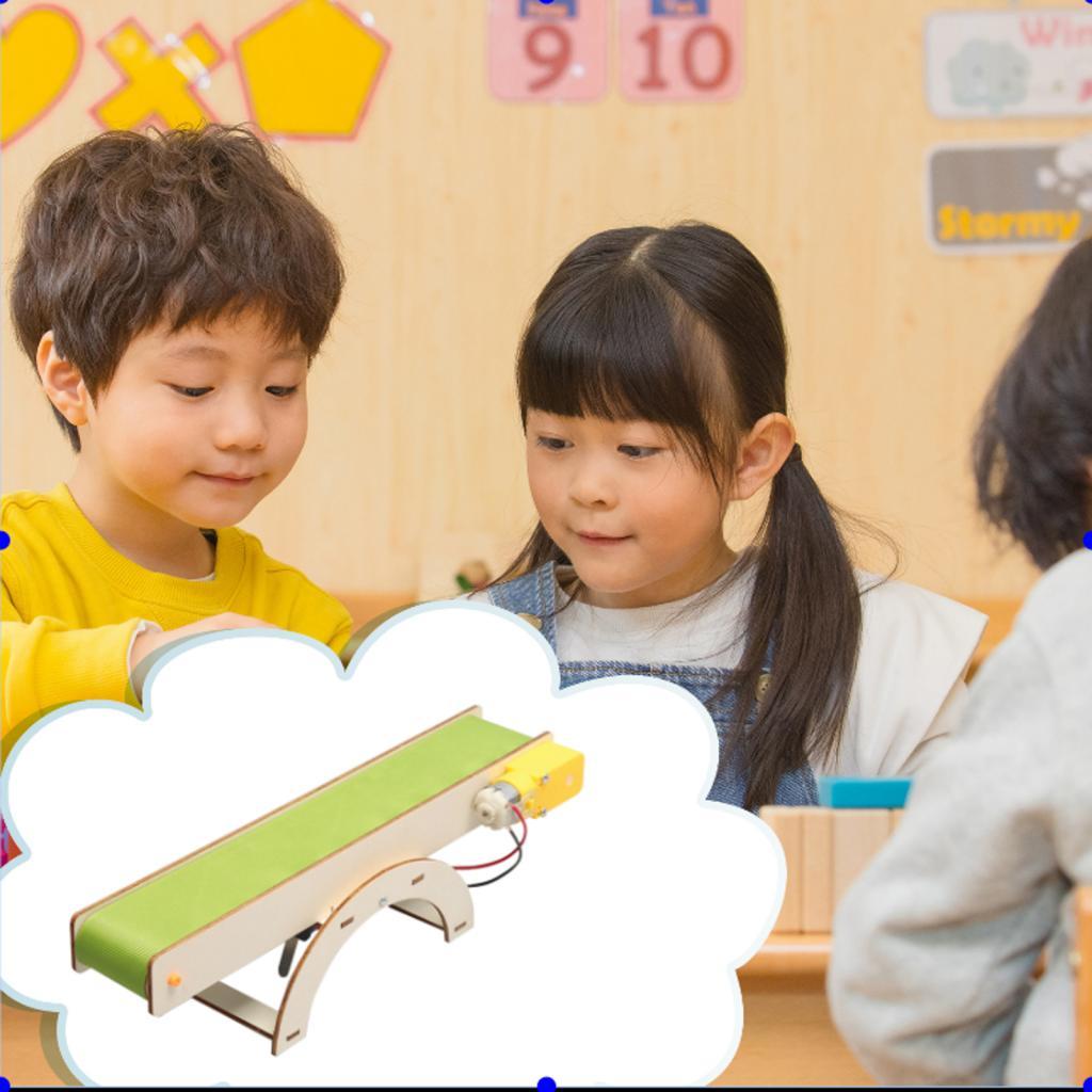Stem Toys DIY Stem Project Dev - Science Hobby Kit 评论和价格