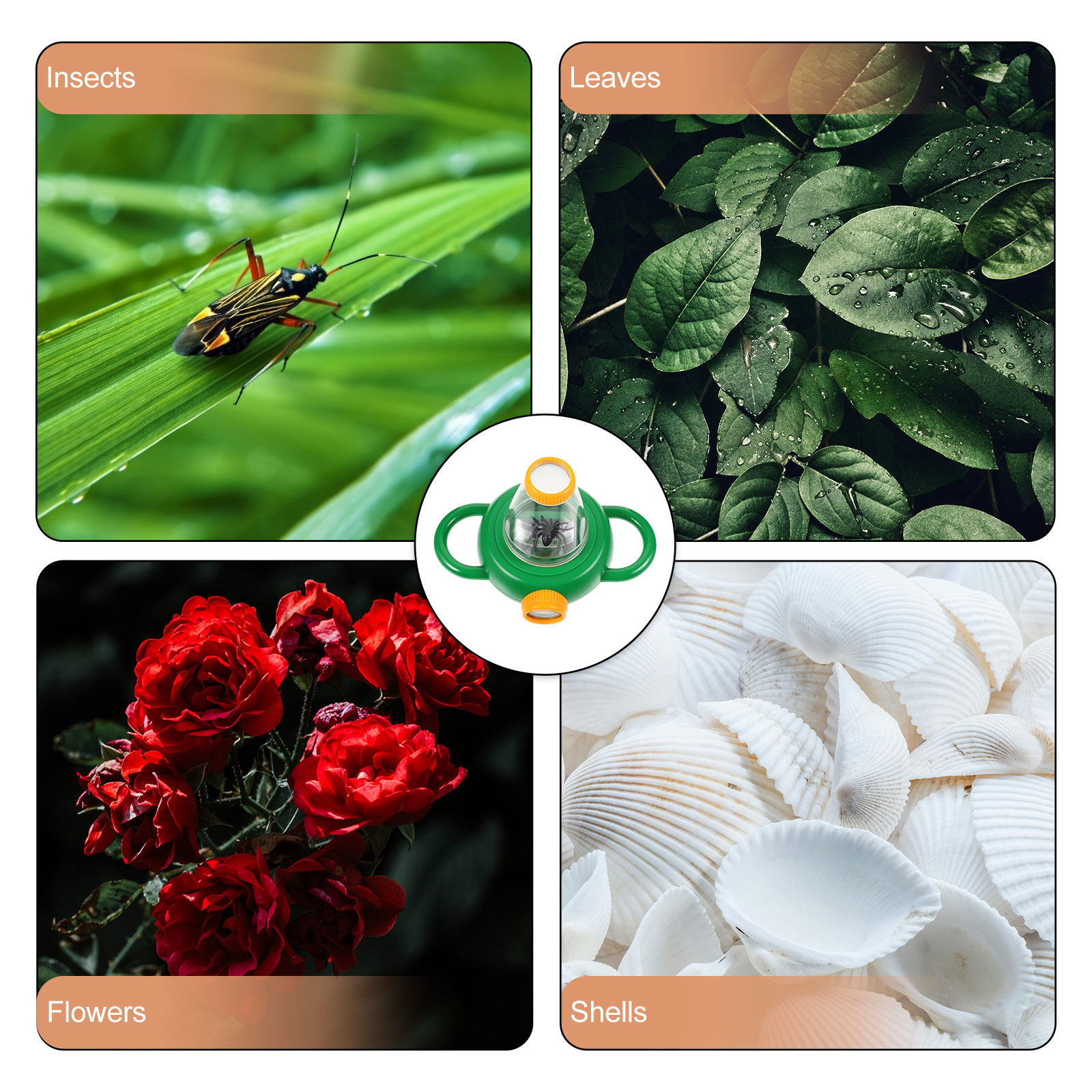 2Pcs Green Insect Observation  - Science Toys 评论和价格