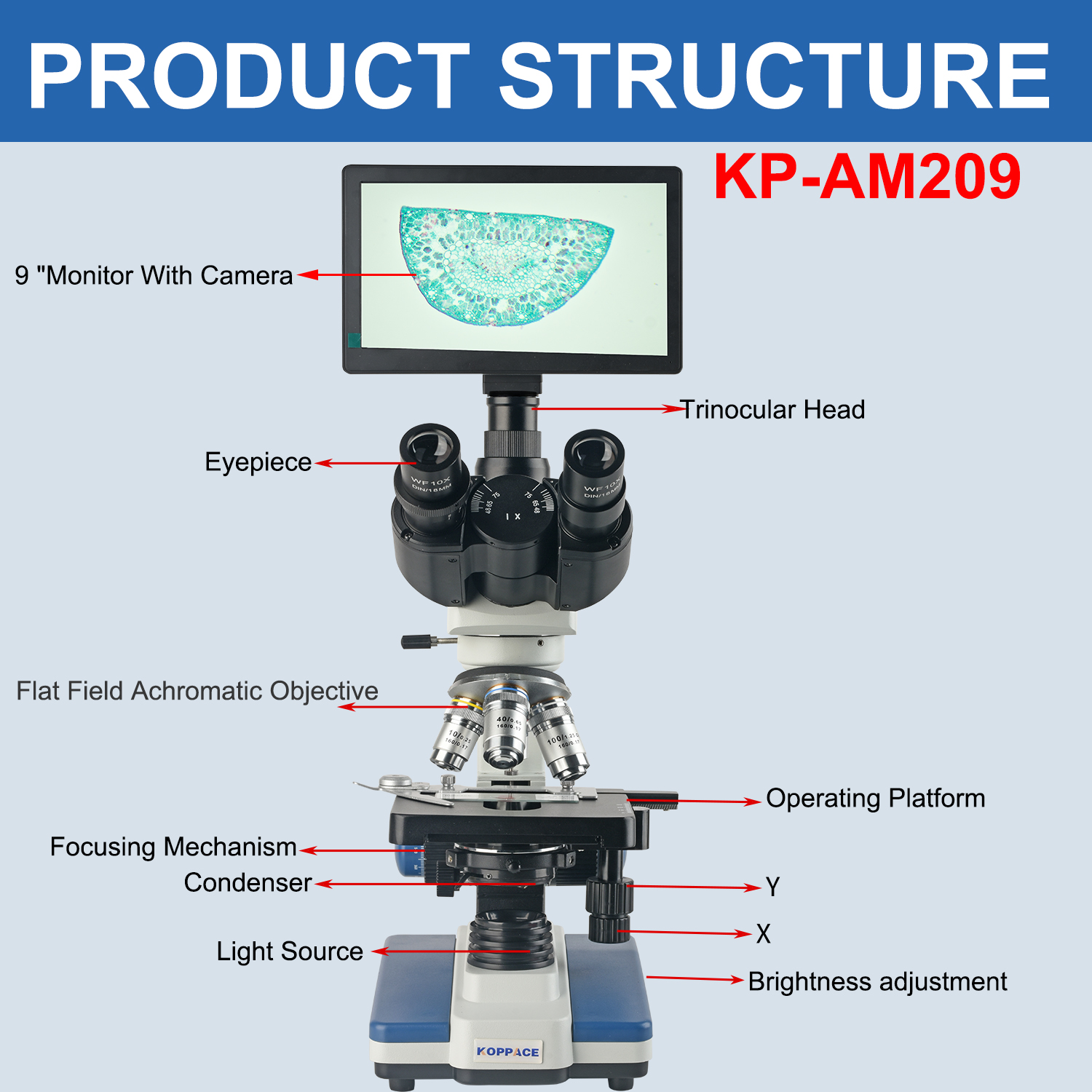 KOPPACE 40X-2500X Electron Com - Microscope Compound 40X 评论和价格