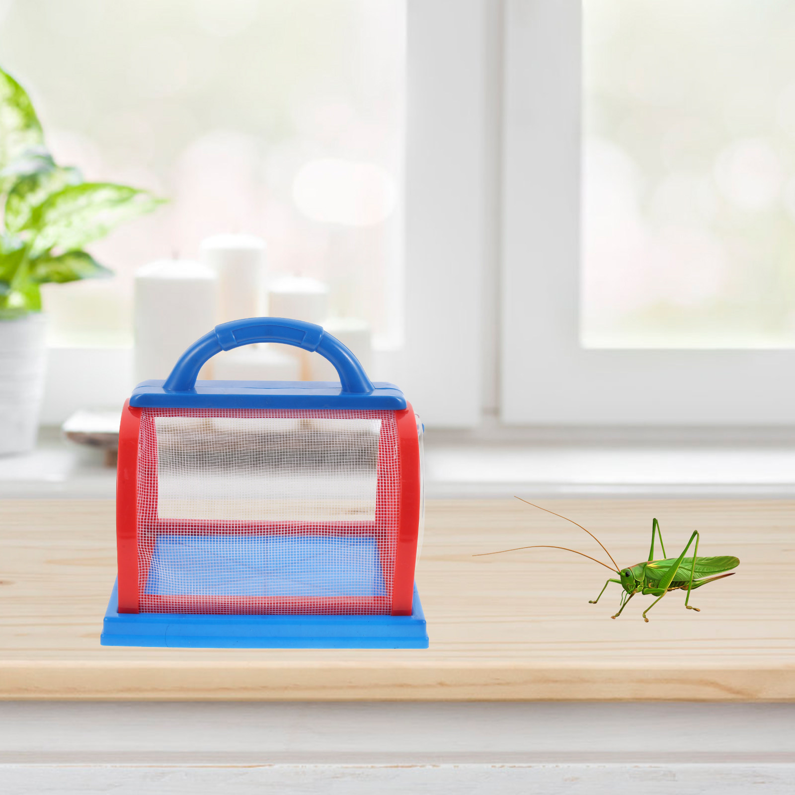 1Set Transparent ABS Insect Ob - Science Toys 评论和价格