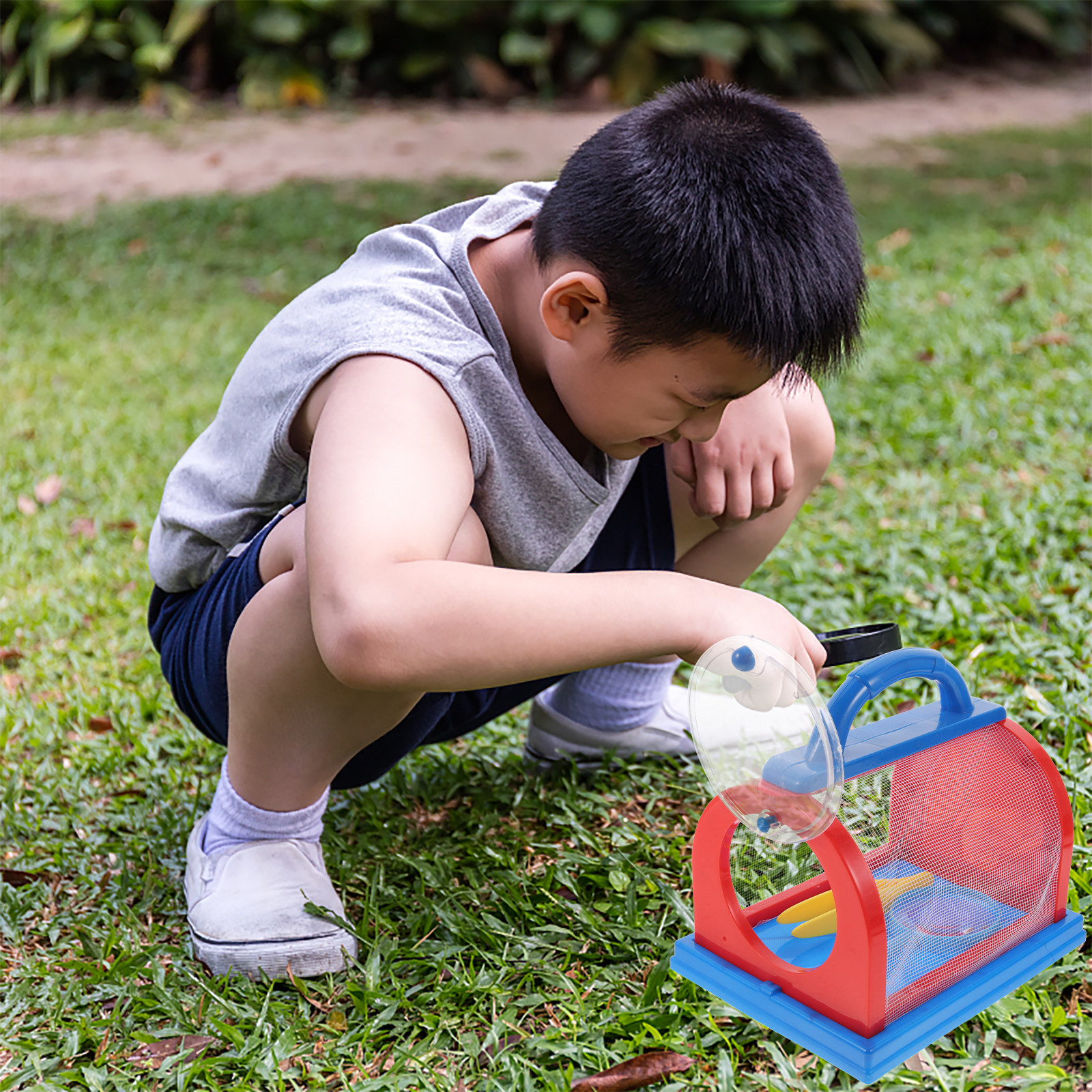 1Set Transparent ABS Insect Ob - Science Toys 评论和价格