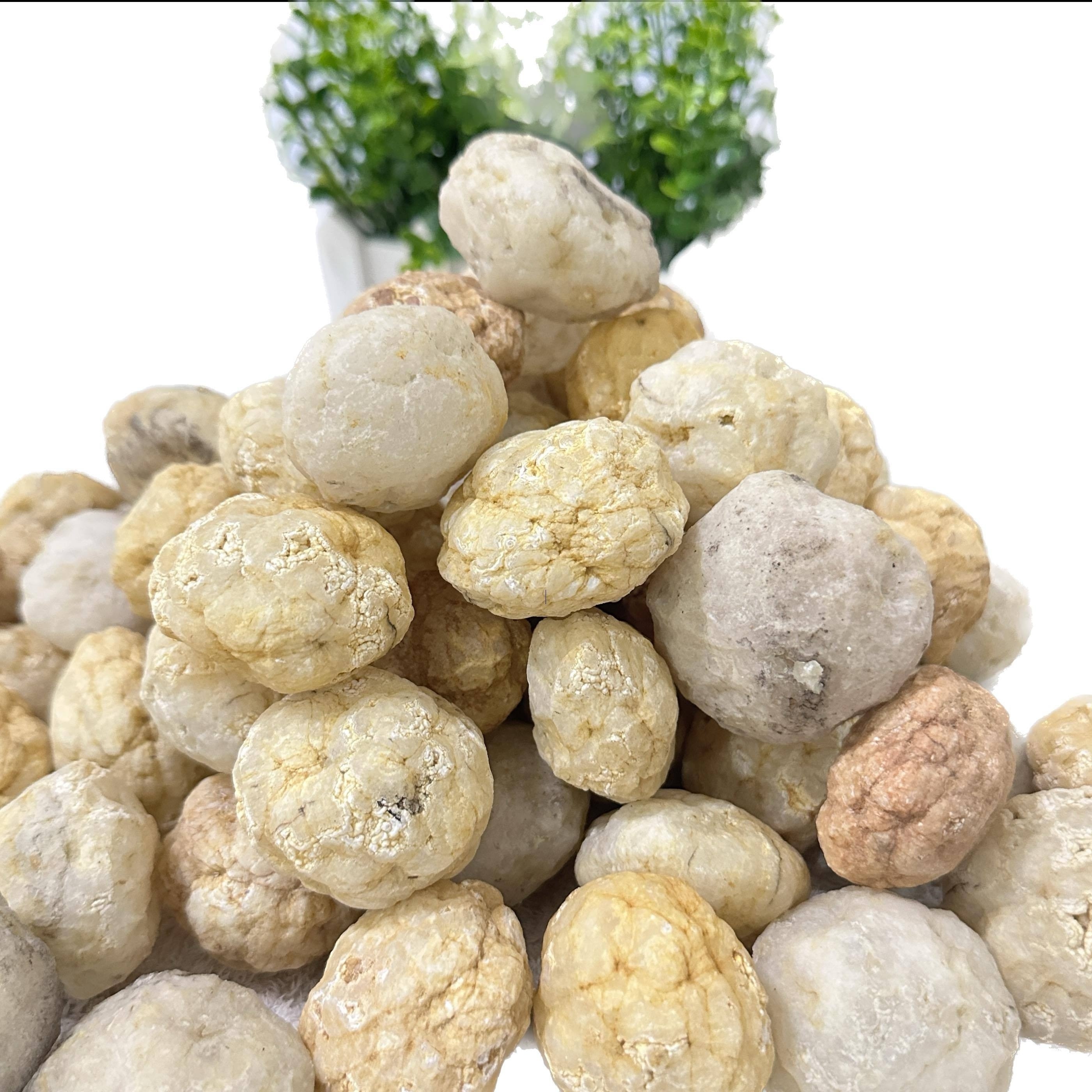 Break Your Own Geodes Natural  - Geode Crystal Break 评论和价格
