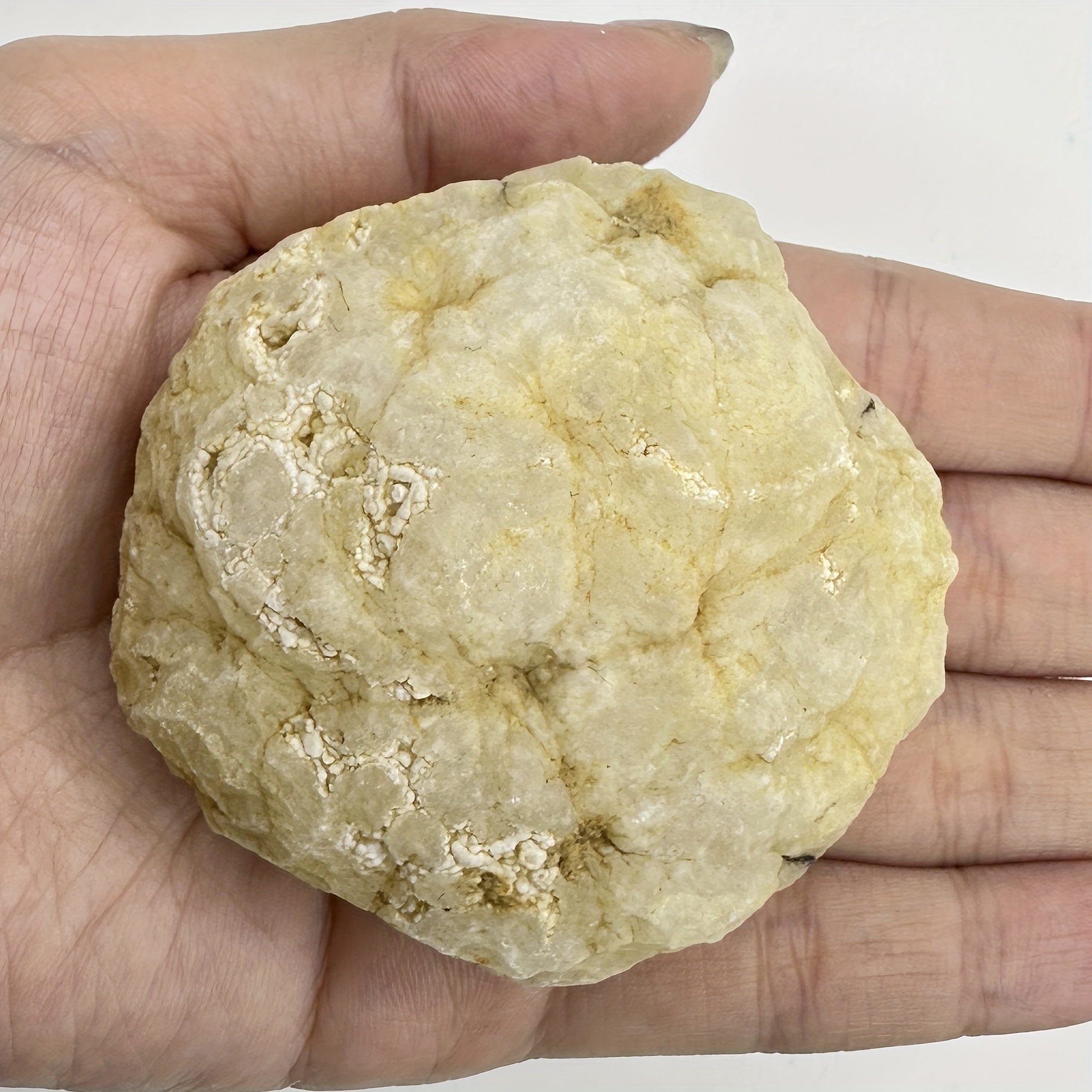 Break Your Own Geodes Natural  - Geode Crystal Break 评论和价格