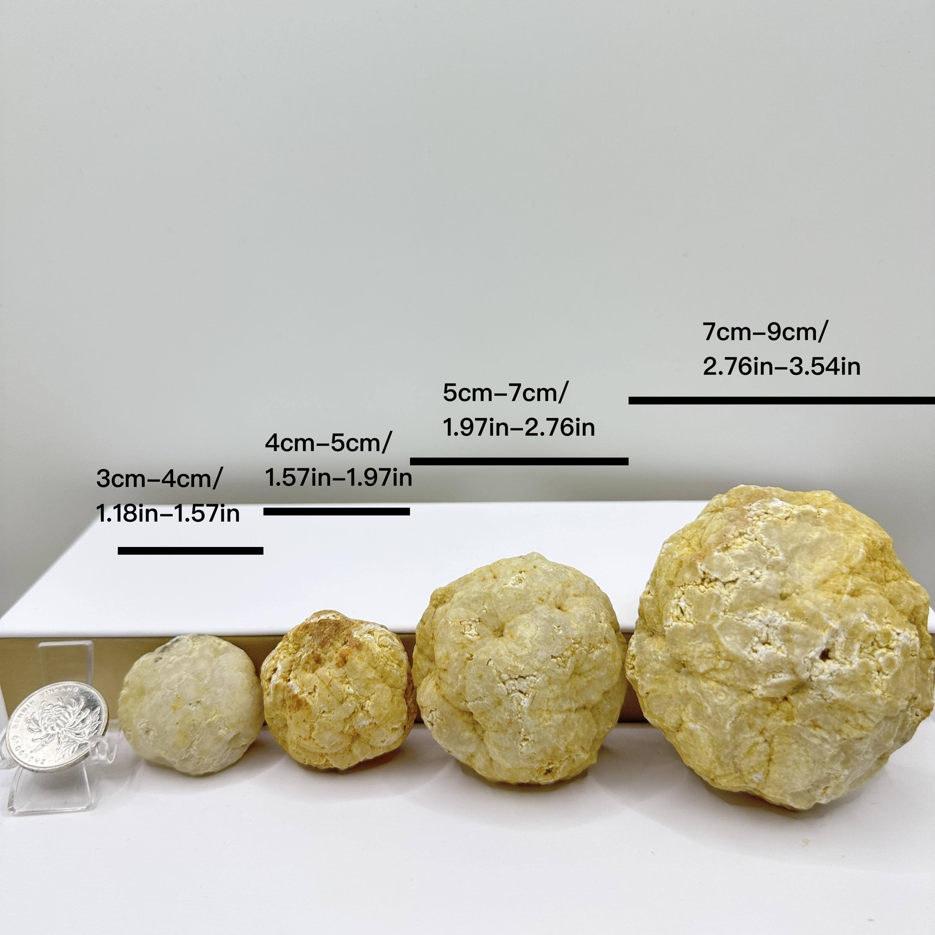 Break Your Own Geodes Natural  - Geode Crystal Break 评论和价格