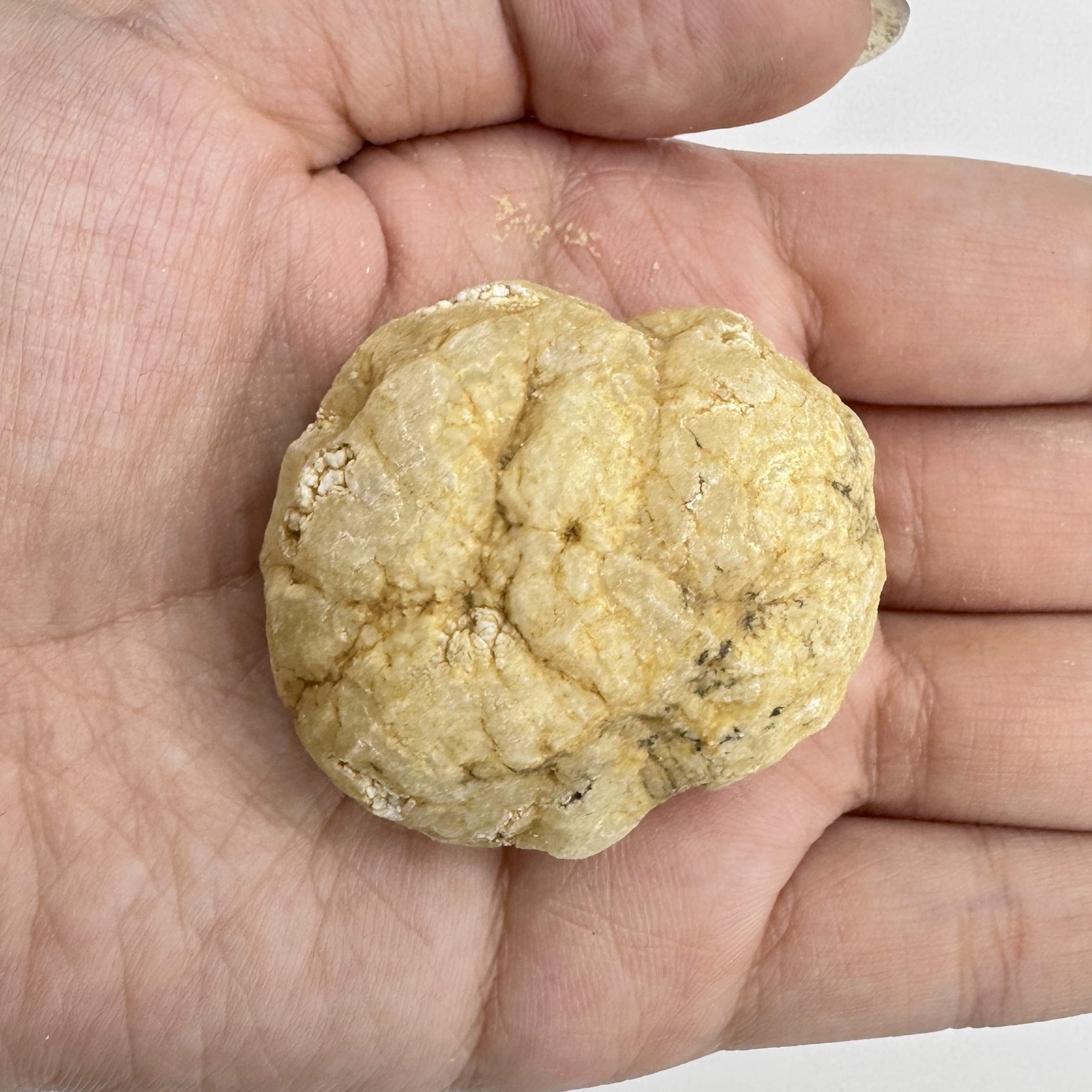 Break Your Own Geodes Natural  - Geode Crystal Break 评论和价格