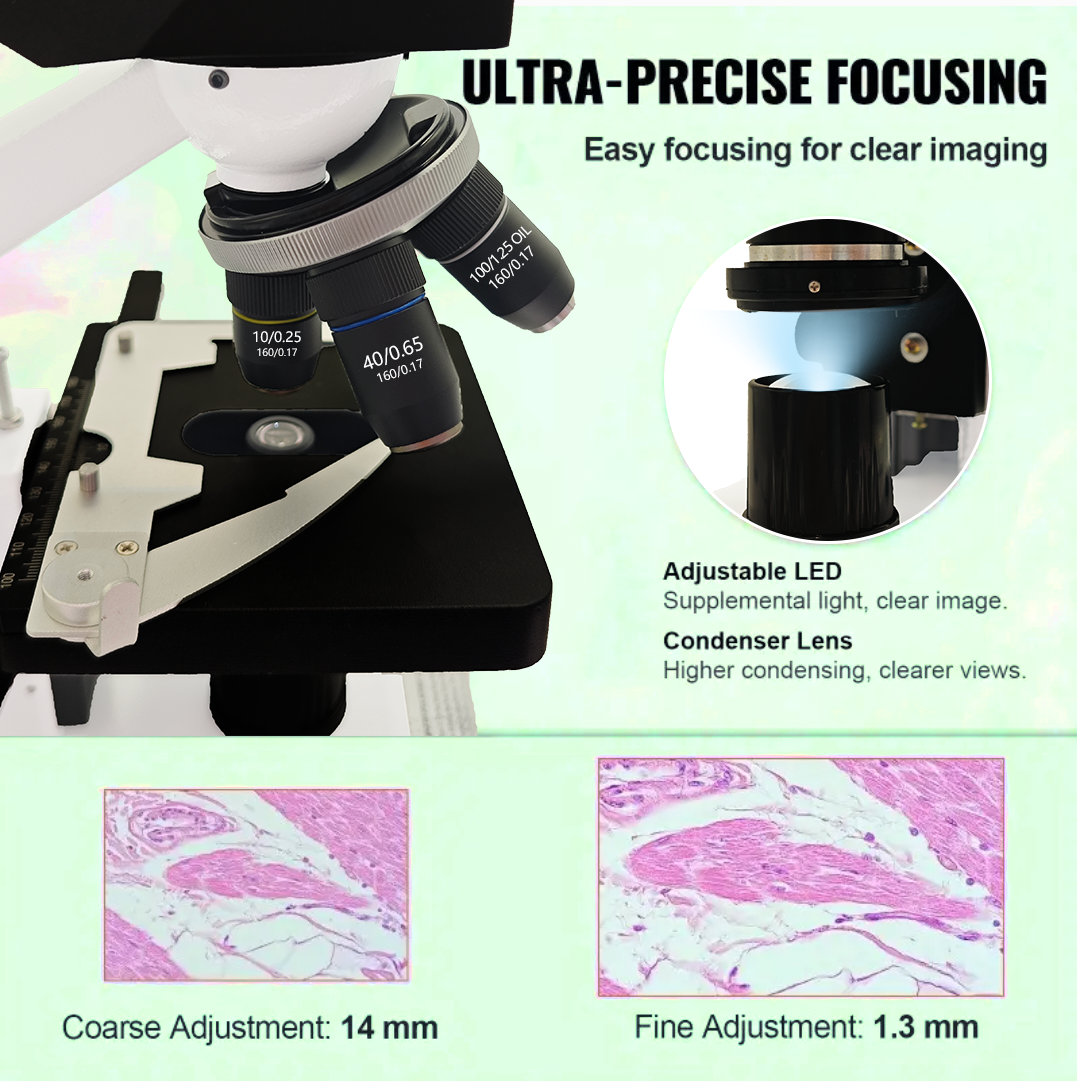40X-2500X Professional Binocul - Microscope Compound 40X 评论和价格
