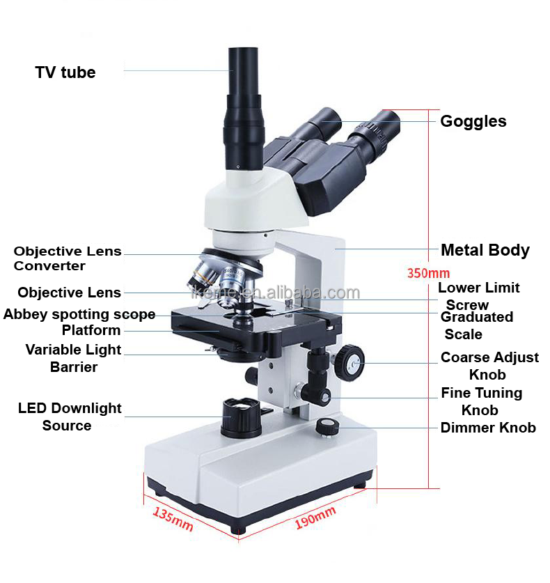 Professional binocular compoun - Microscope Compound 40X 评论和价格