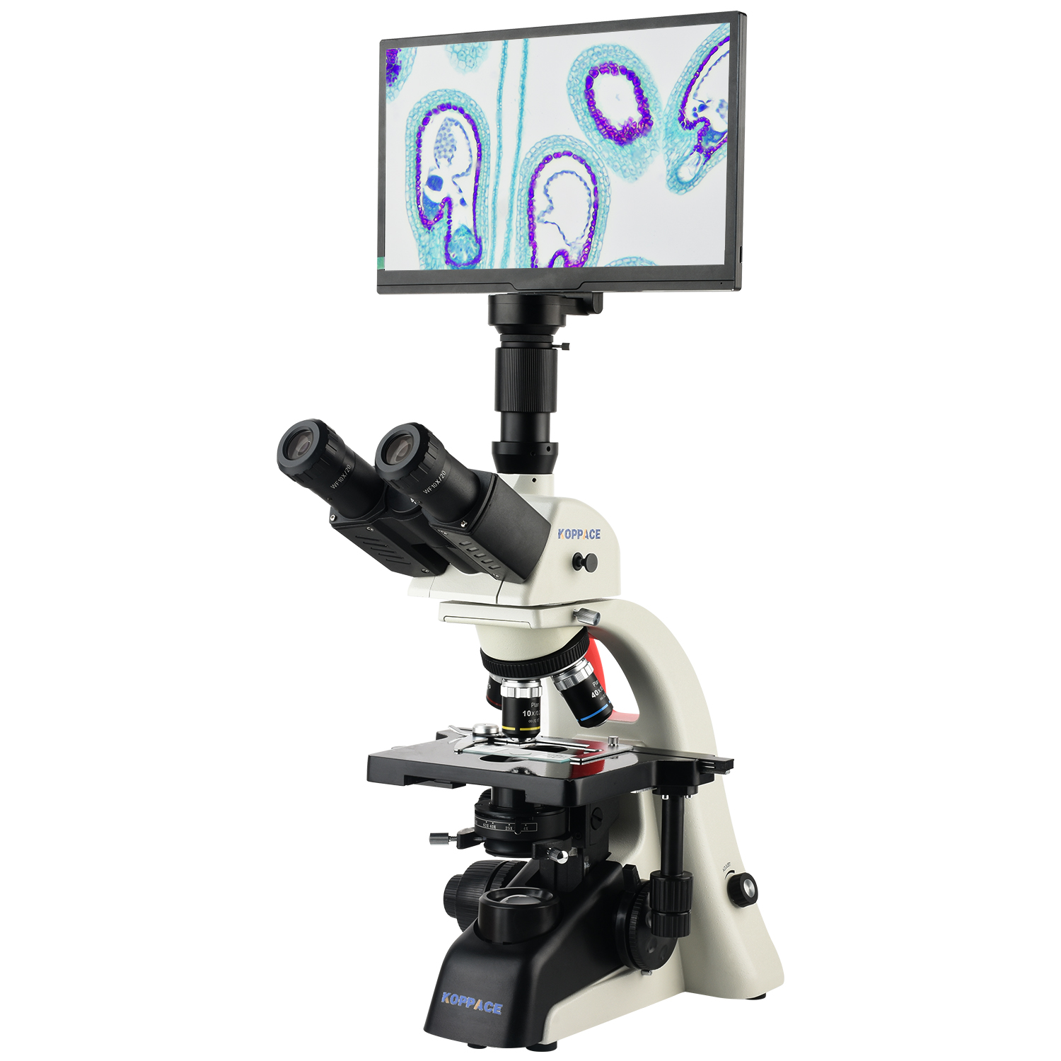 KOPPACE 40X-1600X Electron Com - Microscope Compound 40X 评论和价格