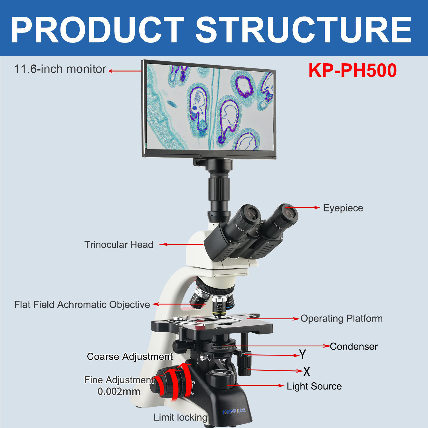 KOPPACE 40X-1600X Electron Com - Microscope Compound 40X 评论和价格