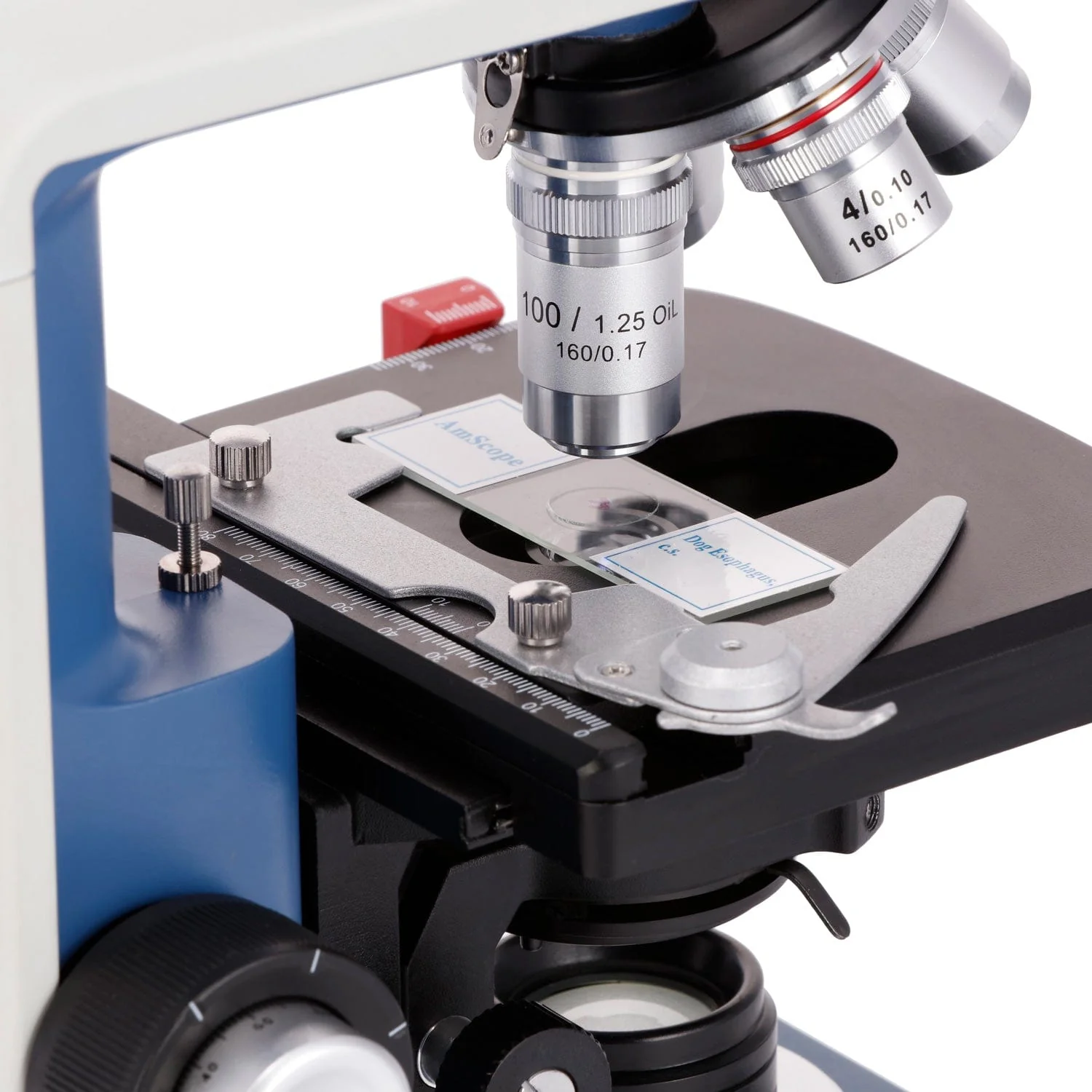 AmScope 40X-2500X USB-C Rechar - Microscope Compound 40X 评论和价格